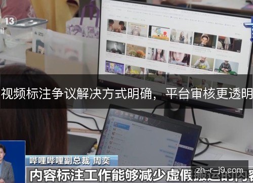 视频标注争议解决方式明确，平台审核更透明